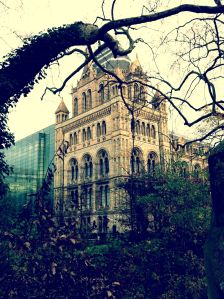 The National History Museum on a winter's day